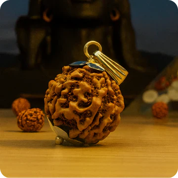 Rudraksha